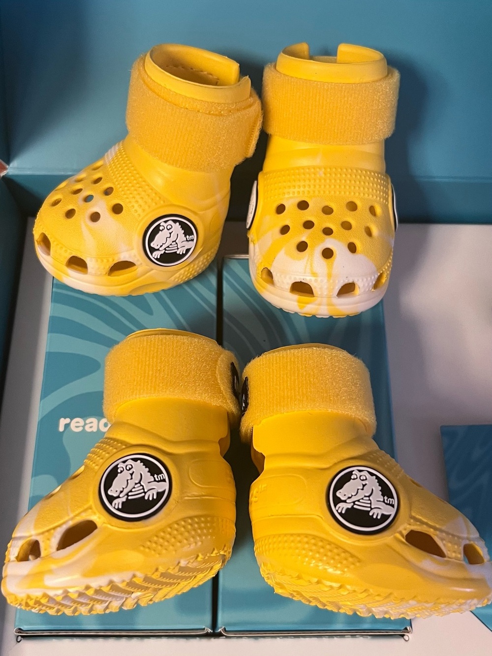 NIB Bark x CROCS Dog Yellow Waterproof Shoes Size Medium - Picture 4 of 10